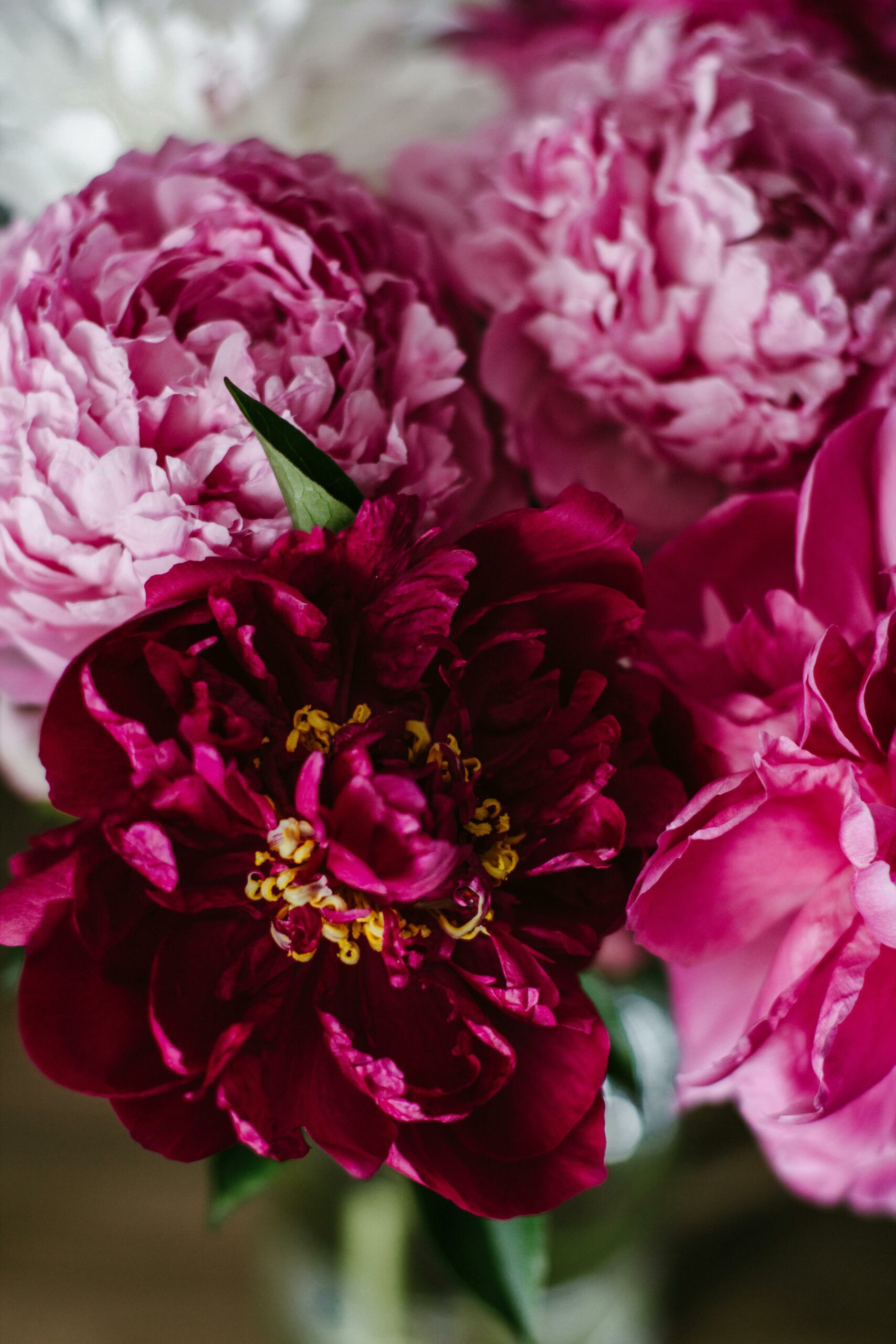 Long-Distance Love: Sending Anniversary Flowers from Overseas